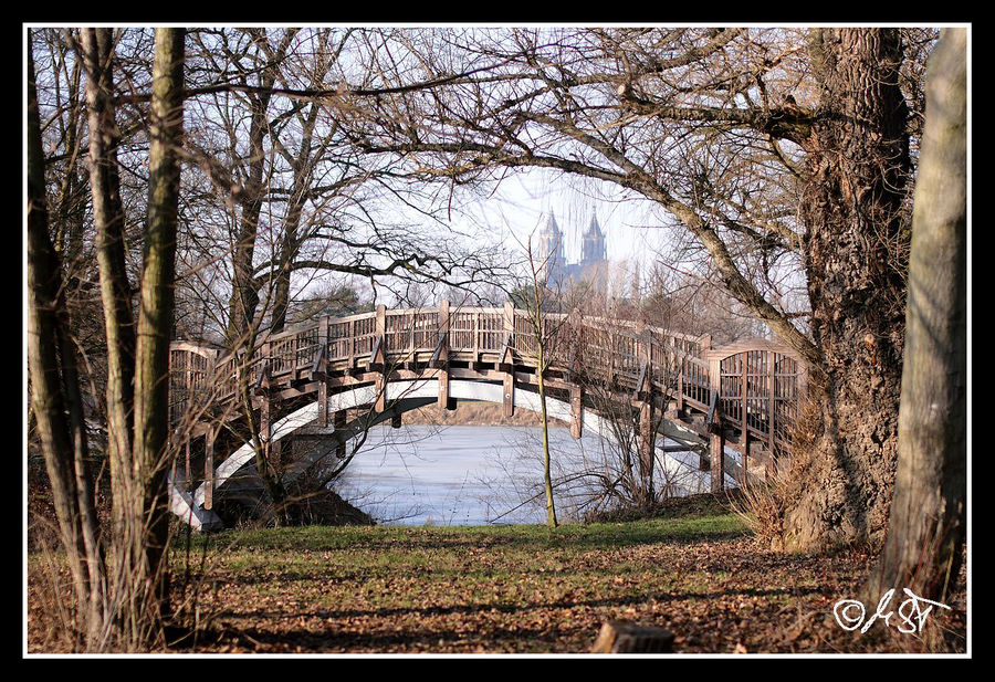 Brücke am See