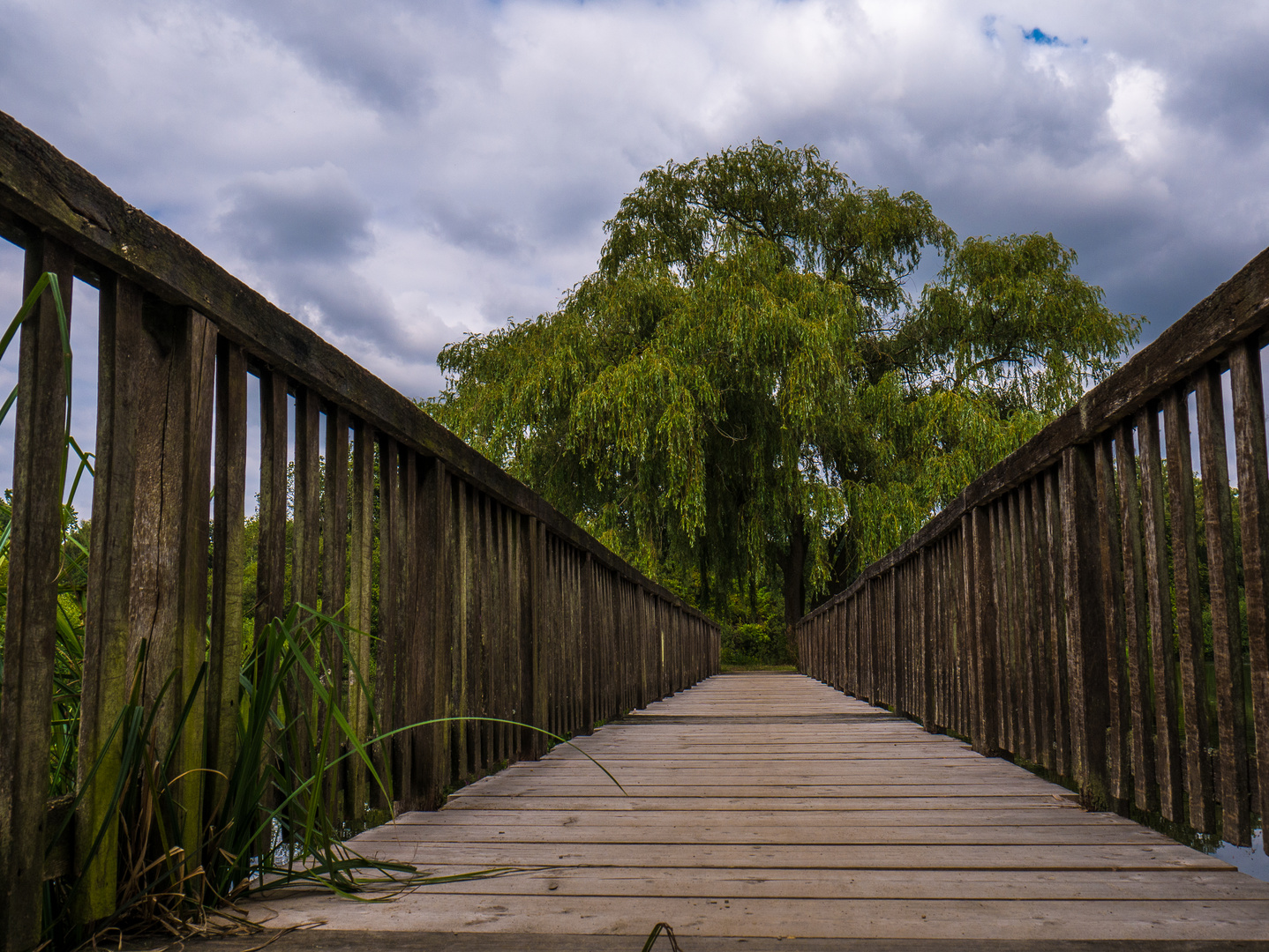 Brücke am See