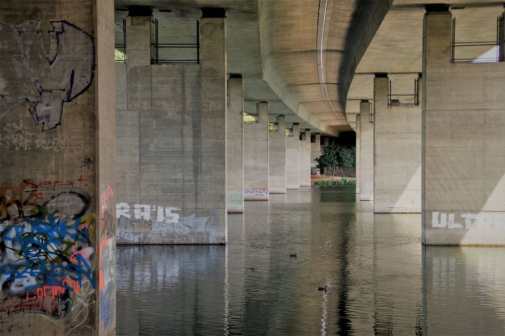 Brücke am See