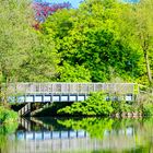 Brücke am See