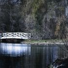 Brücke am Teich