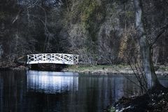 Brücke am Teich