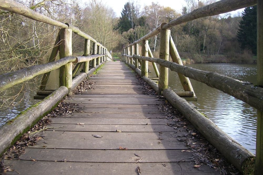 Brücke am Teich