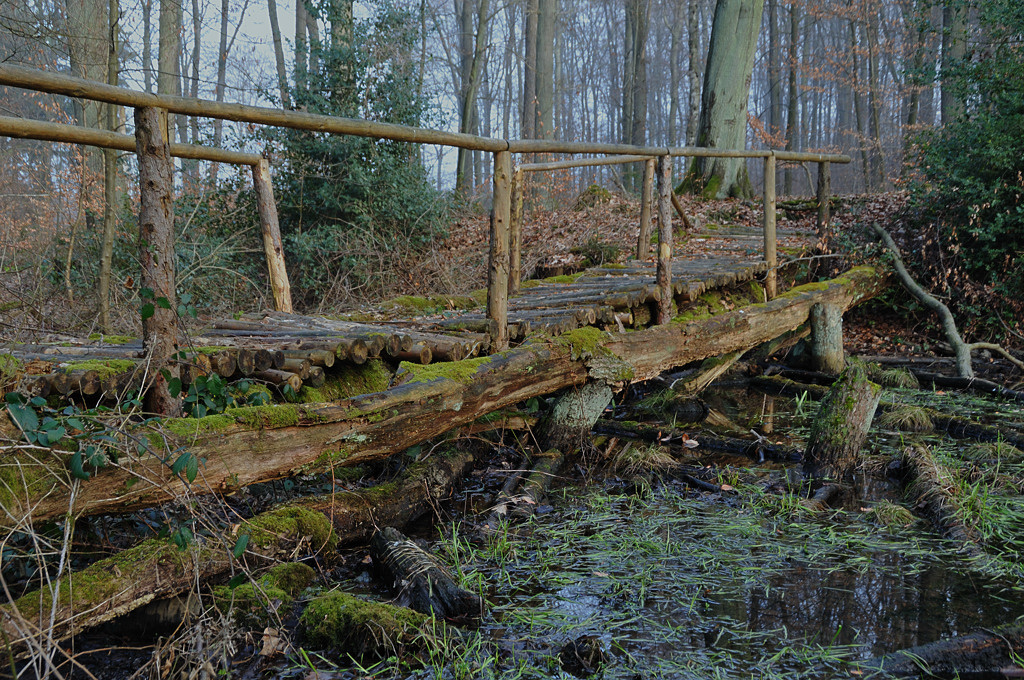 Brücke am Waldsee 2