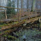 Brücke am Waldsee 2