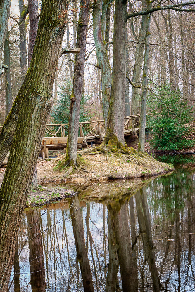 Brücke am Waldsee