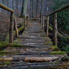 Brücke am Waldsee