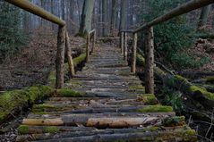 Brücke am Waldsee