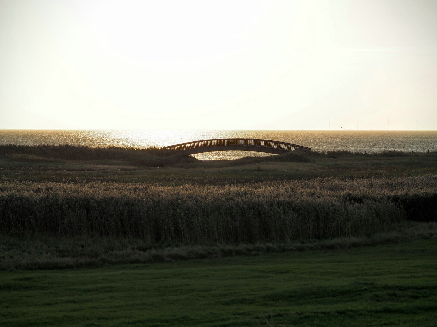 Brücke am Watt/Sylt