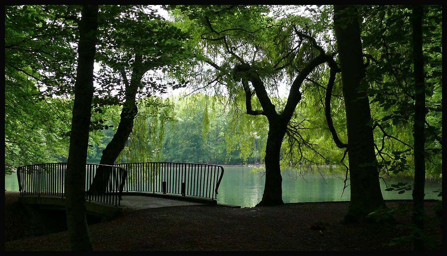 Brücke an den Weiden