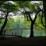 Brücke an den Weiden