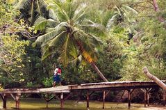 Brücke an der Anse Takamaka auf Mahe (Seychellen)