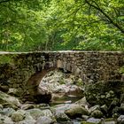 Brücke auf dem Weg zum Seonamsa Tempel