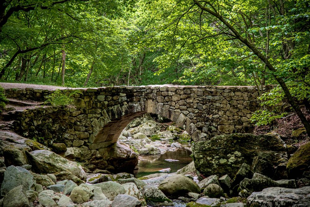 Brücke auf dem Weg zum Seonamsa Tempel