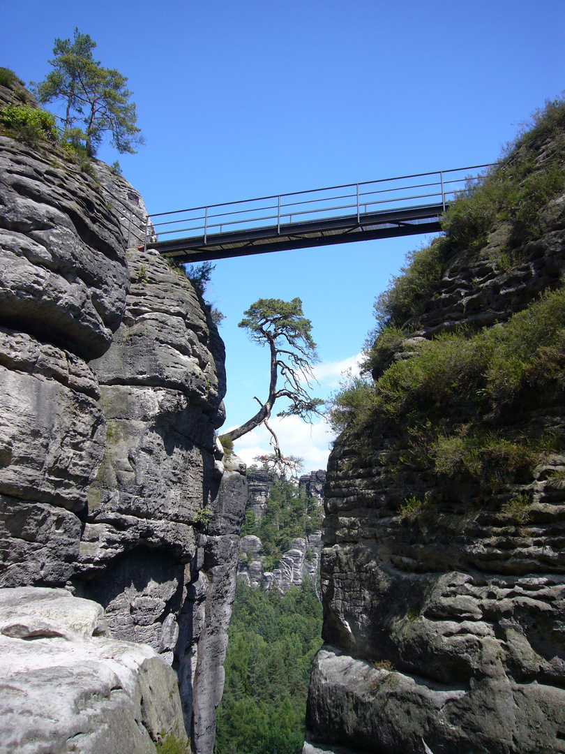 Brücke auf der Bastei