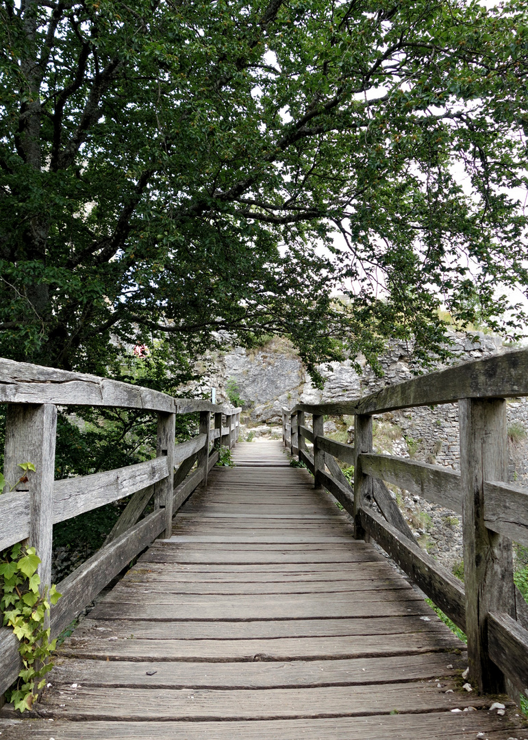 Brücke auf die Burgruine Neideck