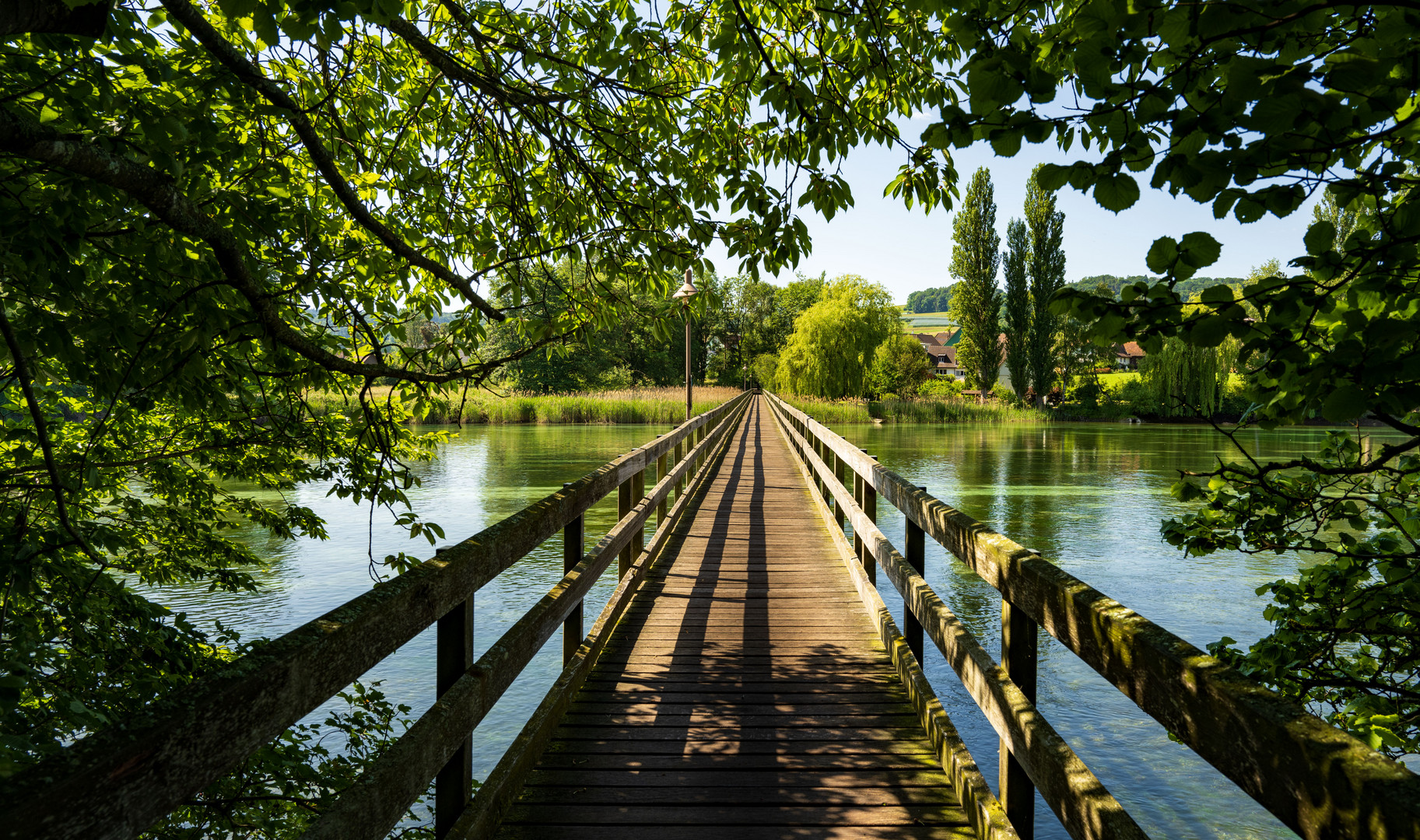 Brücke