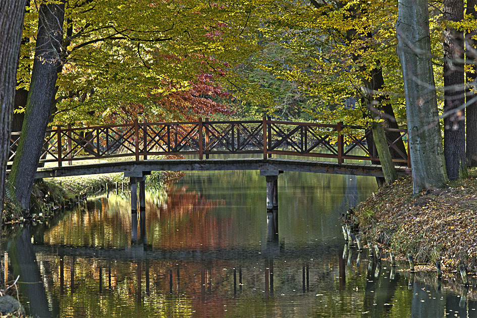 Brücke