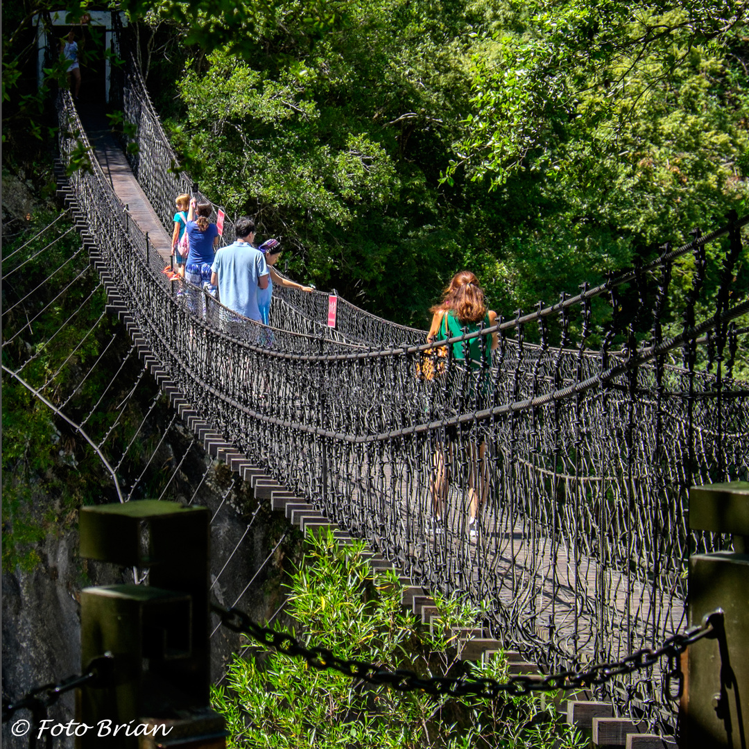 Brücke