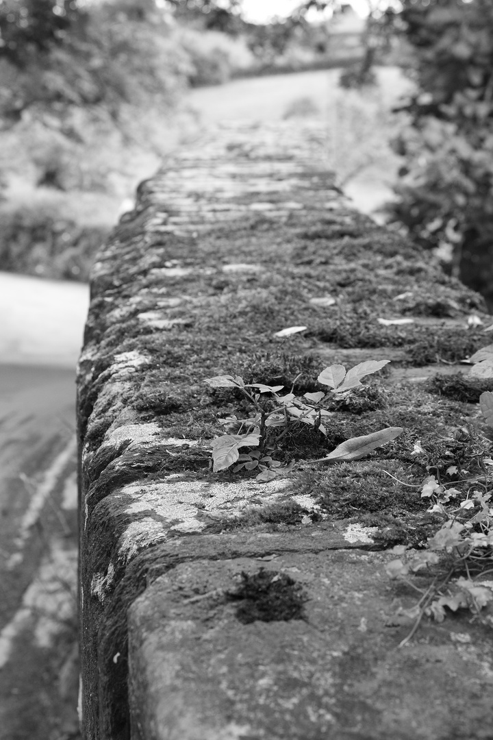 Brücke bei Ashprington Near Totnes, Devon