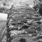 Brücke bei Ashprington Near Totnes, Devon