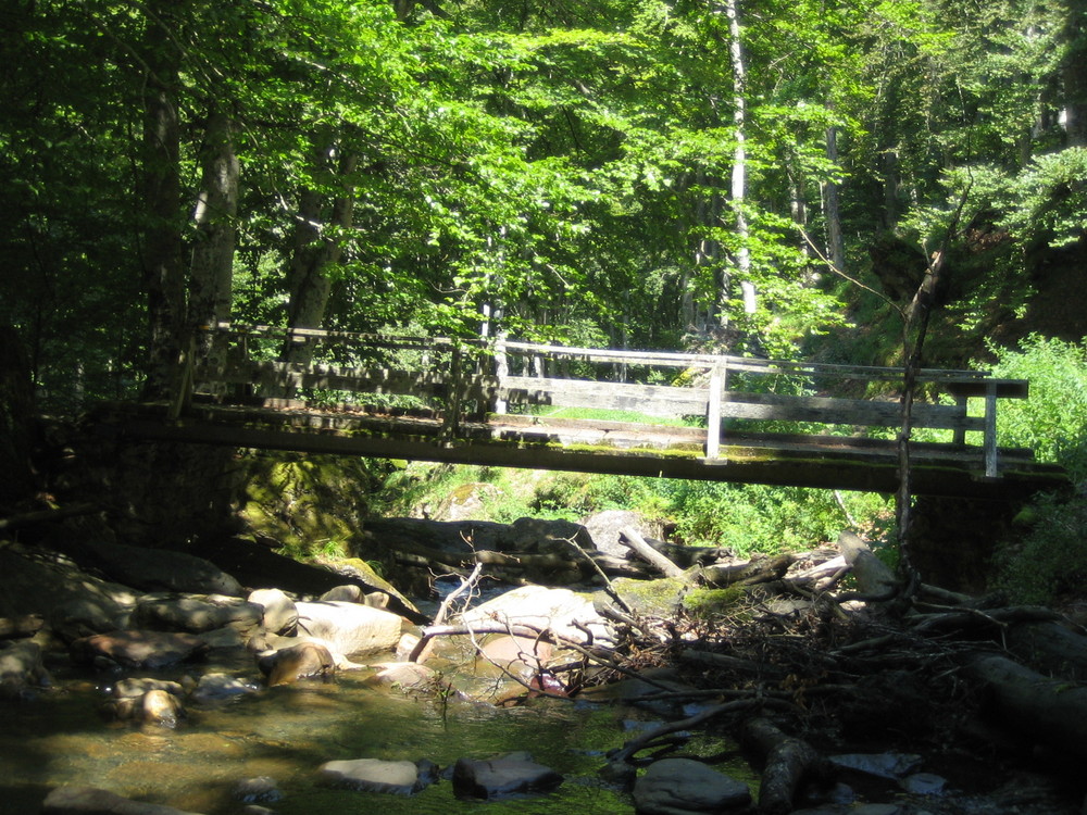 Brücke bei Frechendech/Pyrenäen