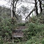 Brücke bei Galenbeck am Galenbecker See