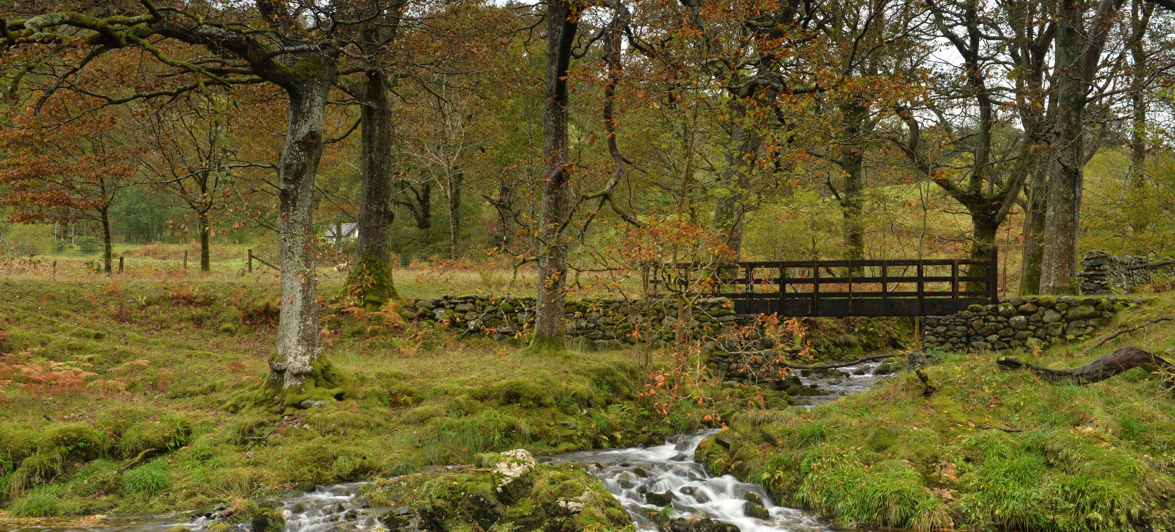 Brücke bei Ty'n y Groes