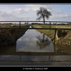 Brücke, Bewässerungsgraben, Baum