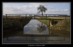 Brücke, Bewässerungsgraben, Baum