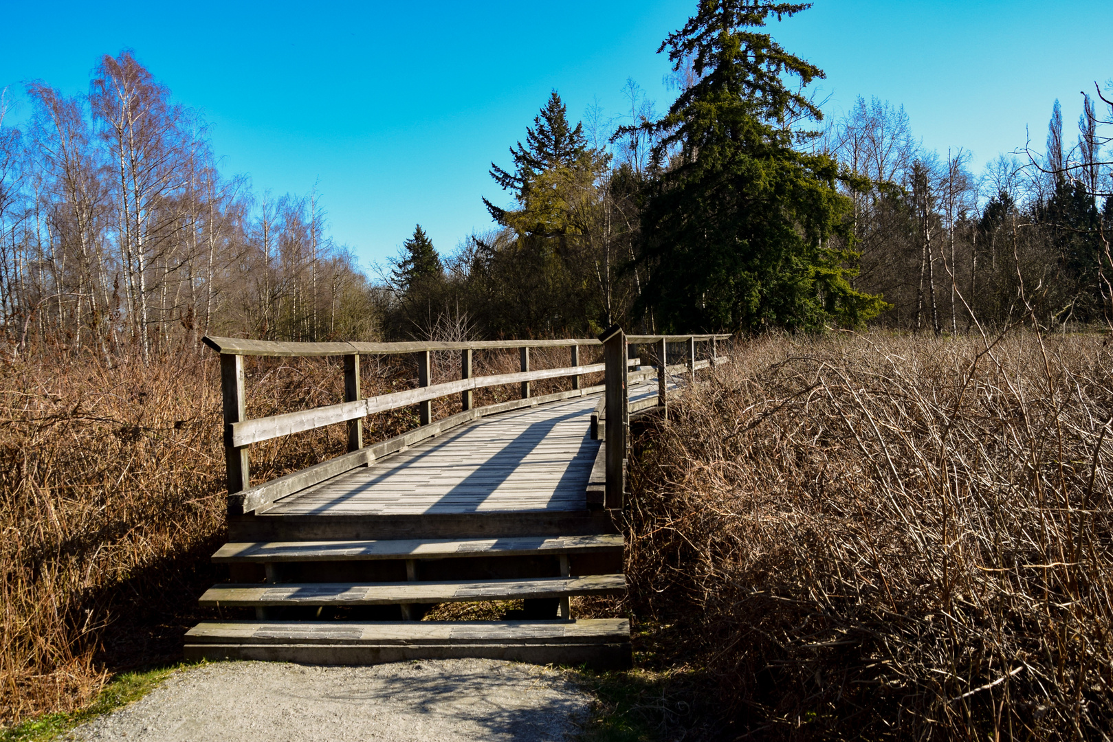 Brücke