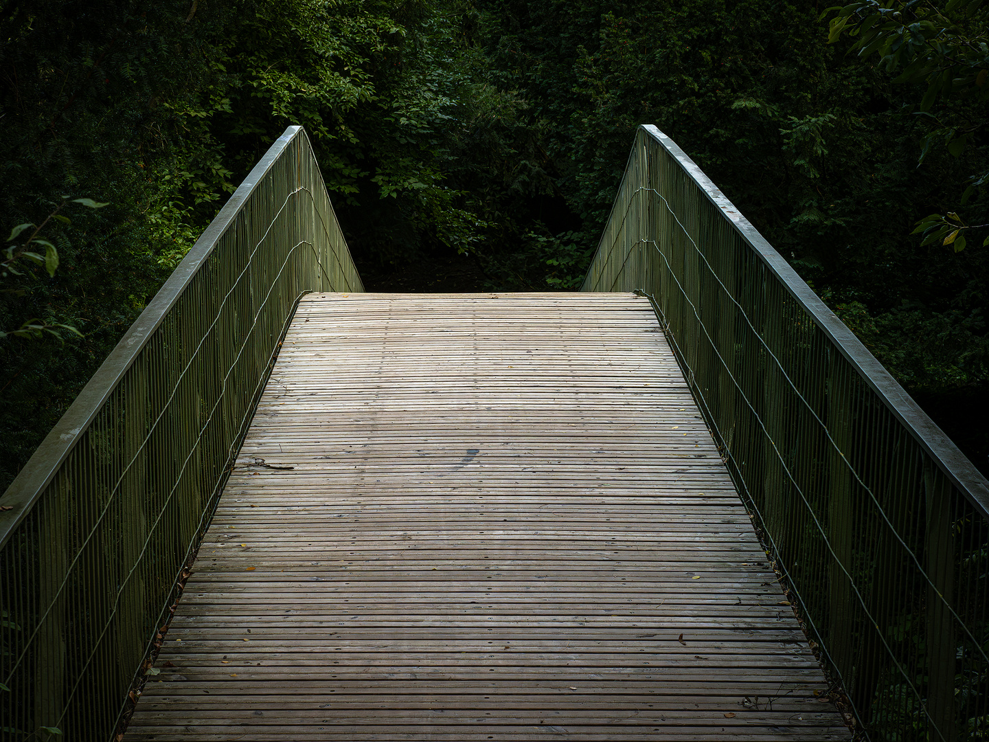 Brücke