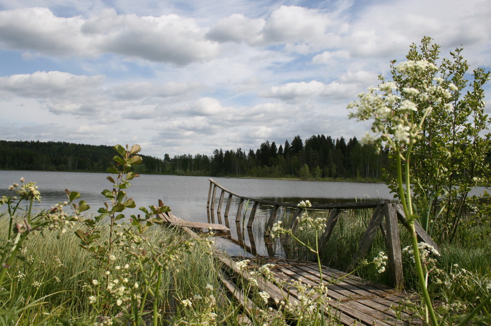 Brücke