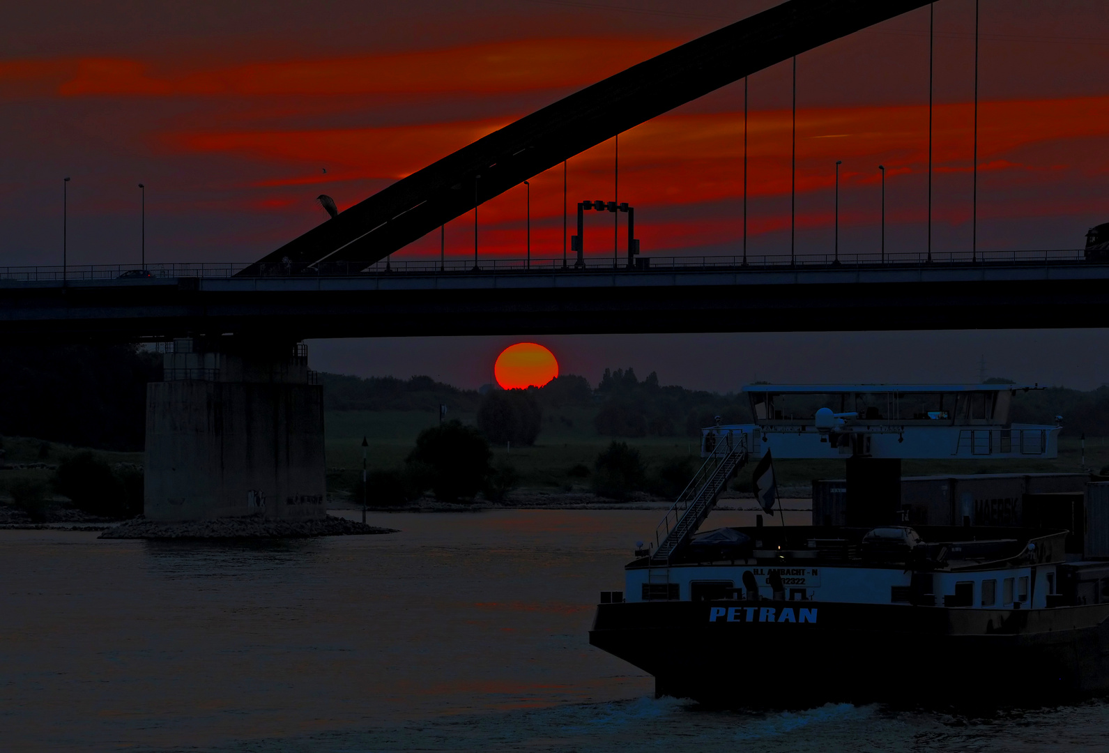 Brücke der Solidarität 2