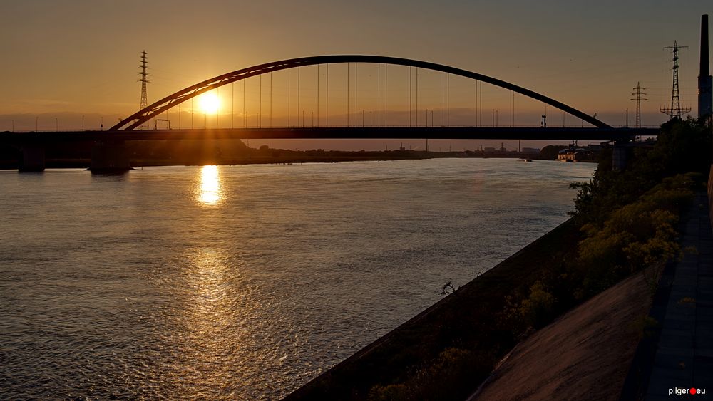 Brücke der Solidarität