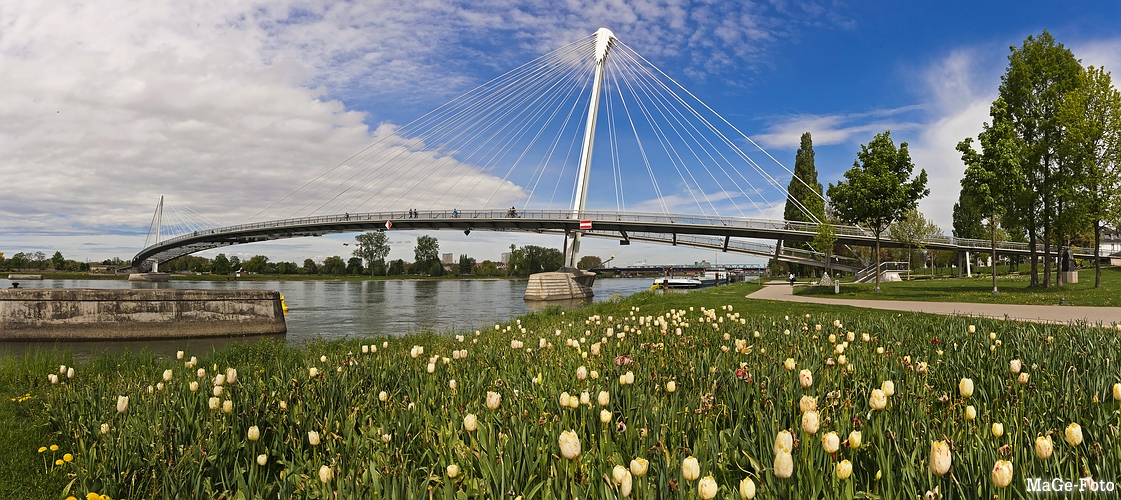 Brücke der zwei Ufer