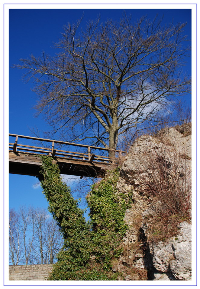 Brücke des Lebens ...