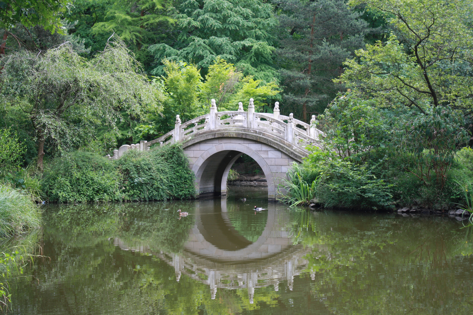Brücke des Lebens im Chinesischen Garten Foto &amp; Bild