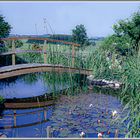 Brücke Dreschler Sachsenried