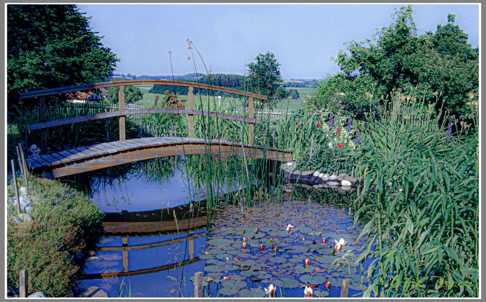 Brücke Dreschler Sachsenried