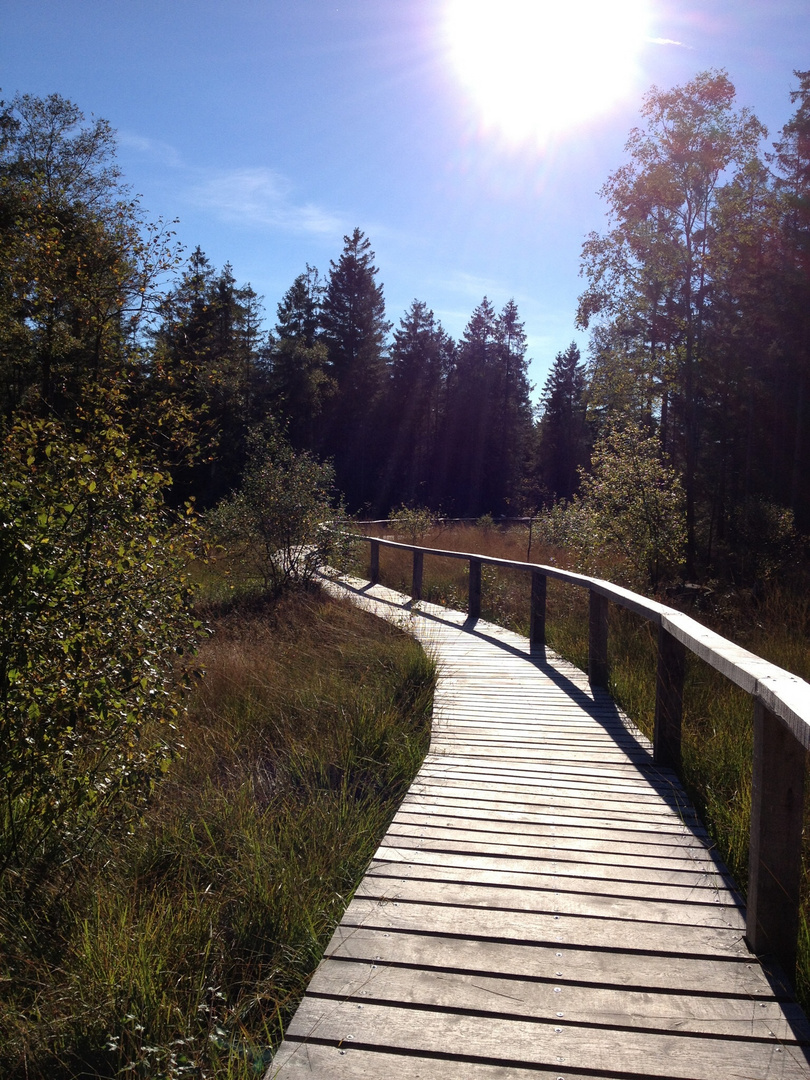 Brücke durch's Moor