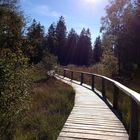 Brücke durch's Moor