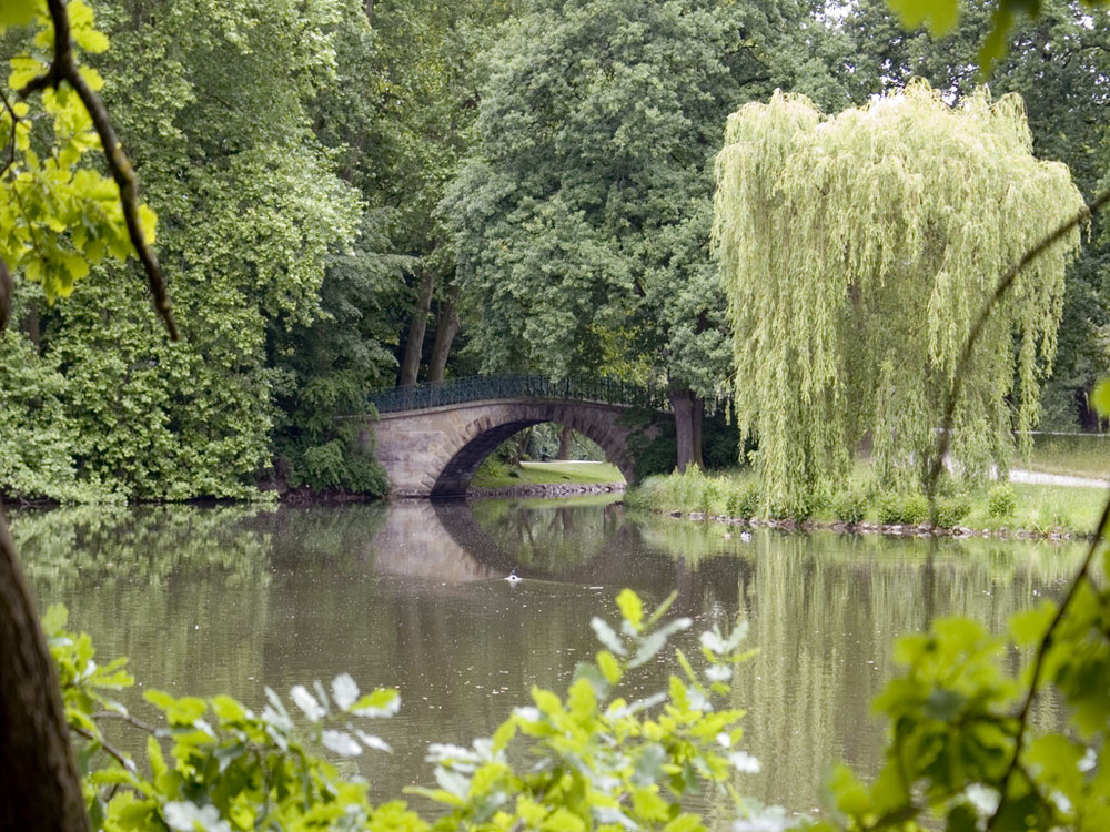 Brücke