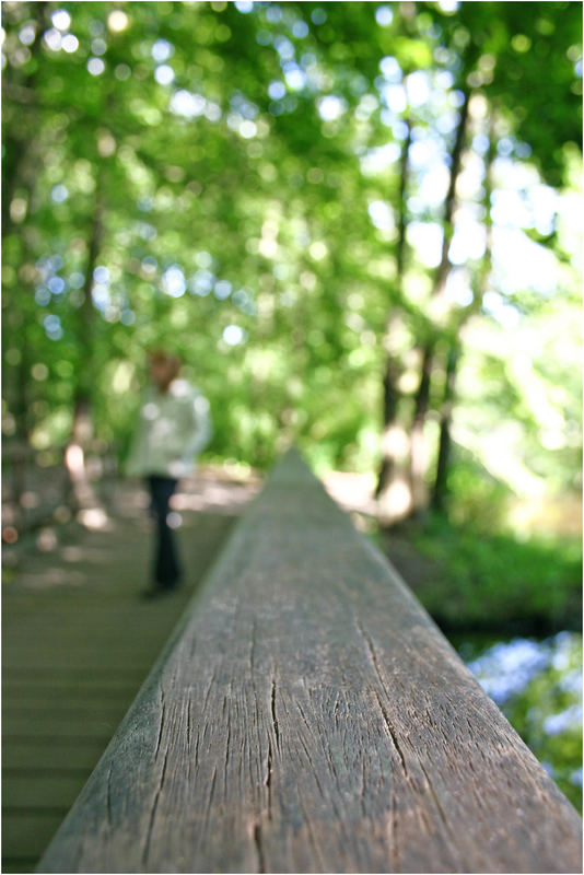 Brücke