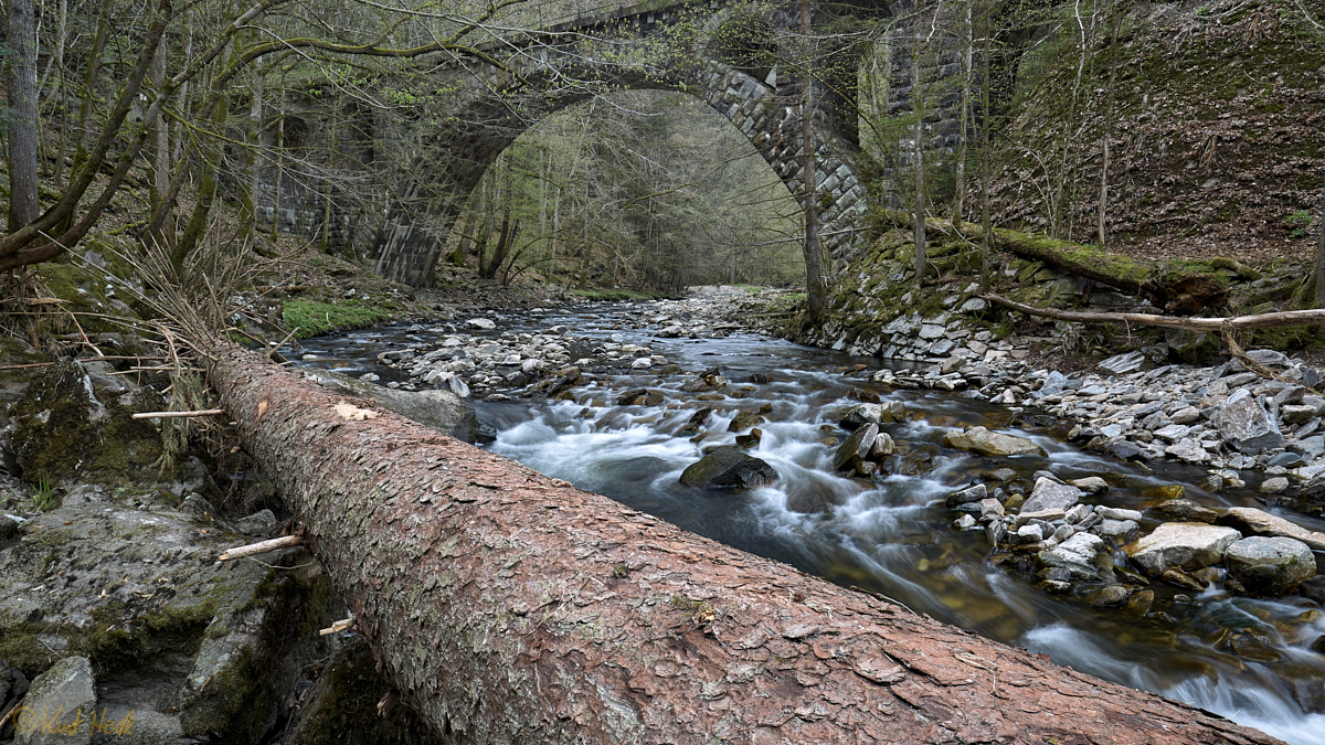 Brücke eines alten Bahngleises.