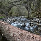 Brücke eines alten Bahngleises.