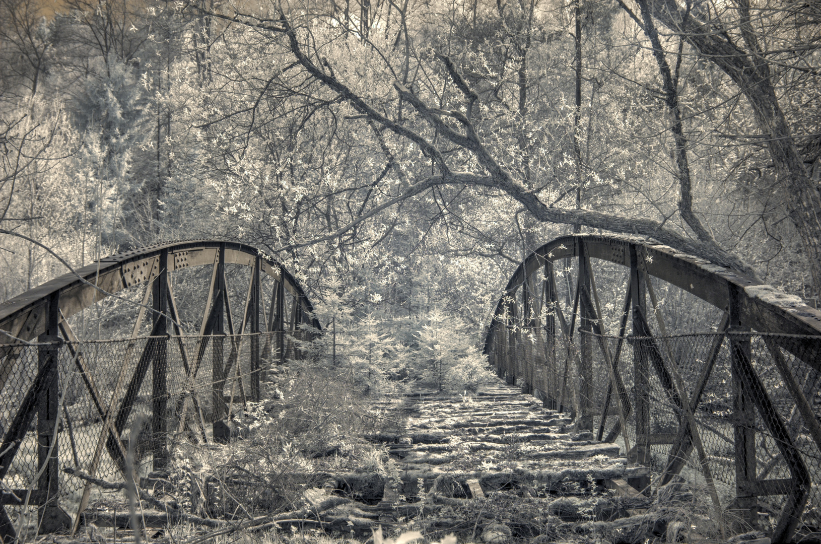 Brücke