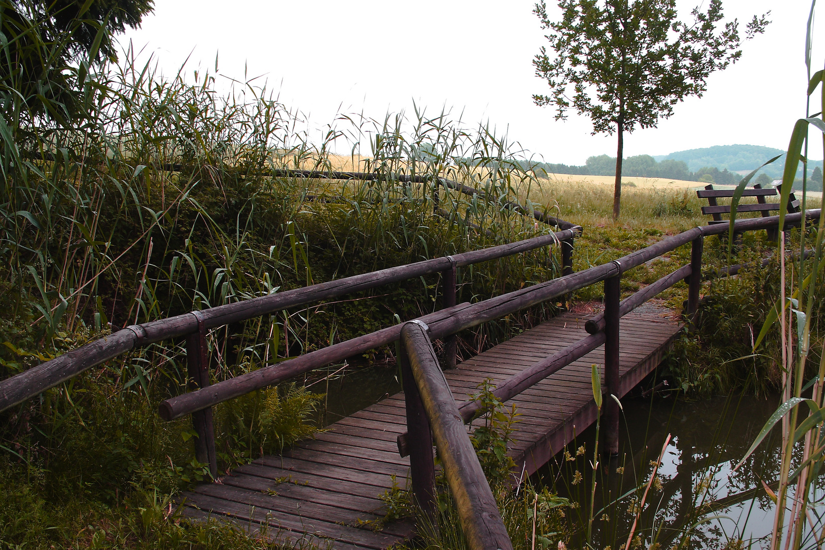 Brücke