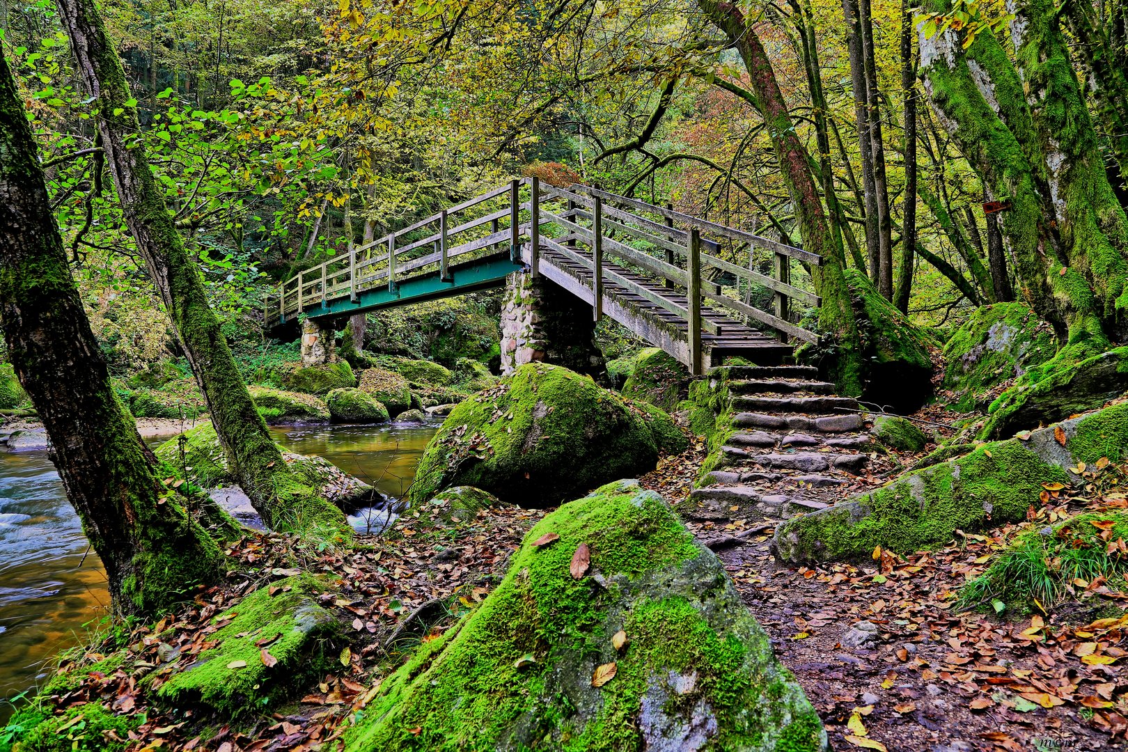 Brücke