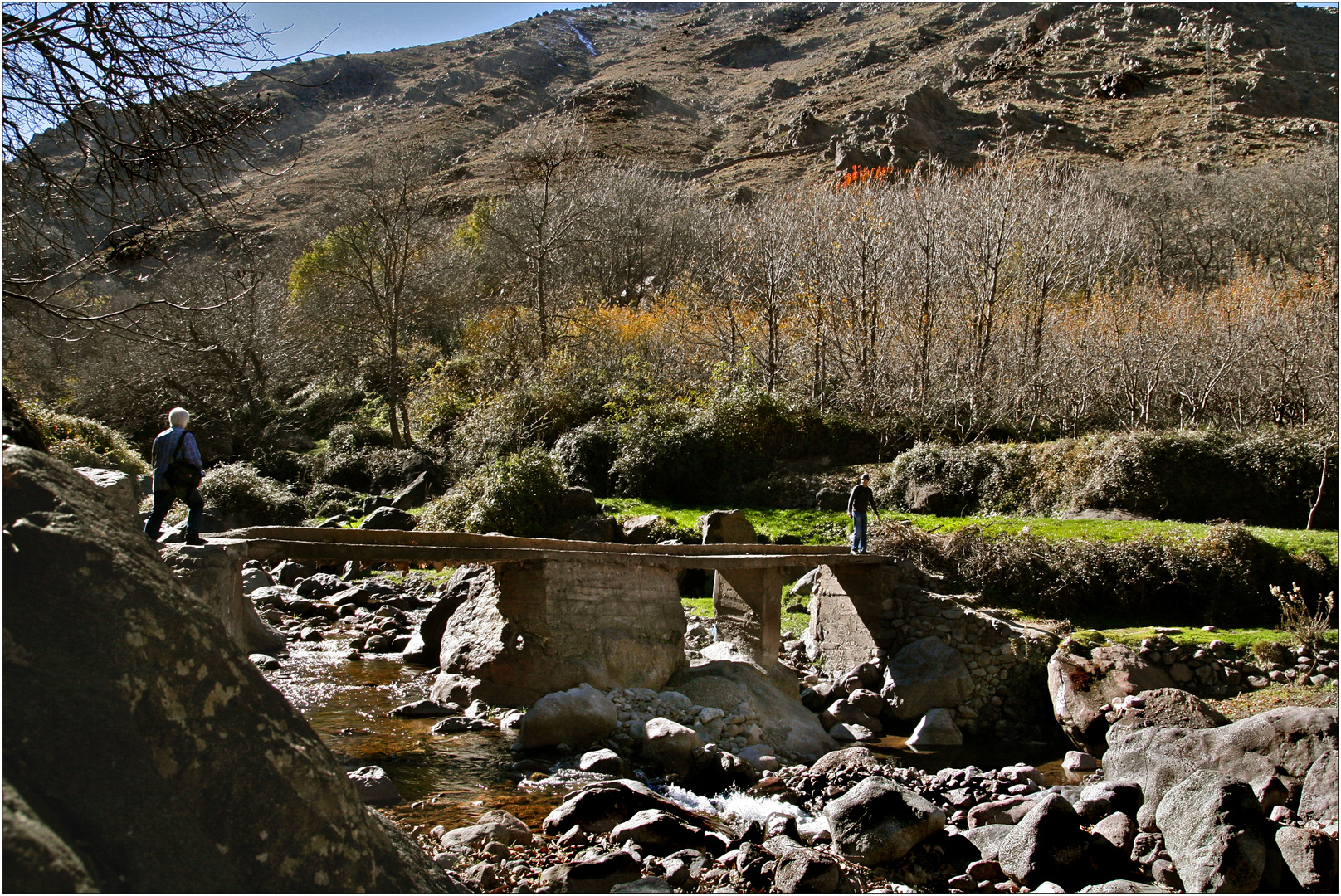 Brücke für Mutige 